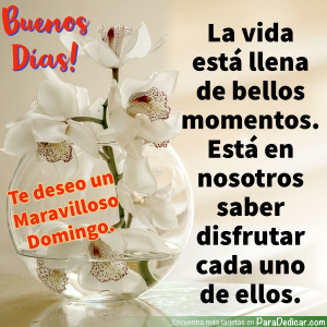 Saludos de Buenos Días: ¡Desea un Maravilloso Domingo!